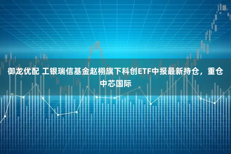 御龙优配 工银瑞信基金赵栩旗下科创ETF中报最新持仓，重仓中芯国际