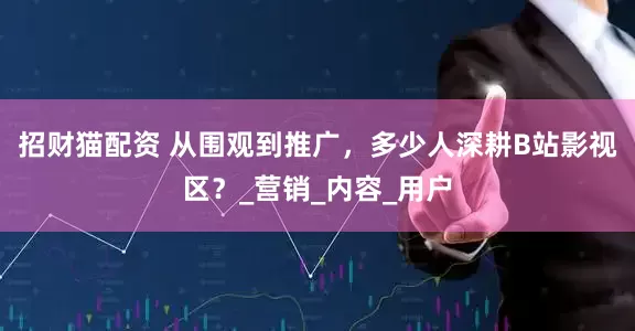 招财猫配资 从围观到推广，多少人深耕B站影视区？_营销_内容_用户