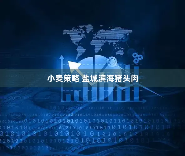 小麦策略 盐城滨海猪头肉