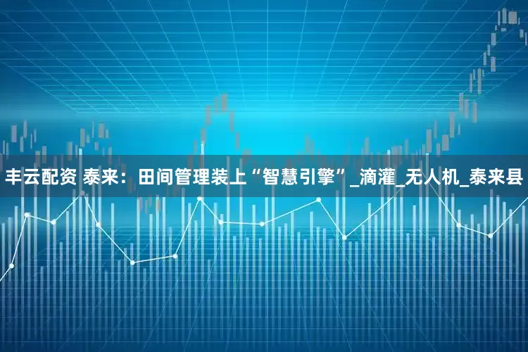 丰云配资 泰来：田间管理装上“智慧引擎”_滴灌_无人机_泰来县