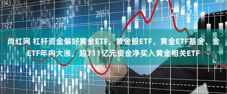 尚红网 杠杆资金偏好黄金ETF,黄金股ETF、黄金ETF基金、金ETF年内大涨,超711亿元资金净买入黄金相关ETF